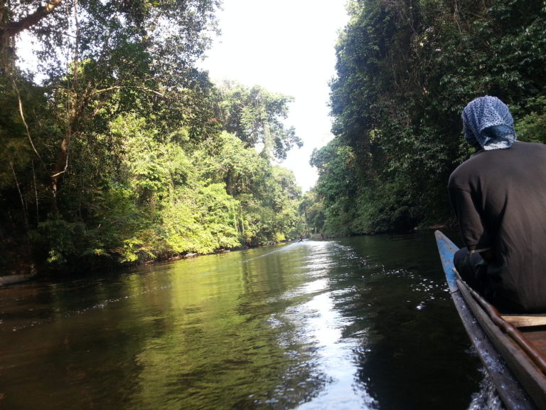 Kuala Selangor Birding (2)